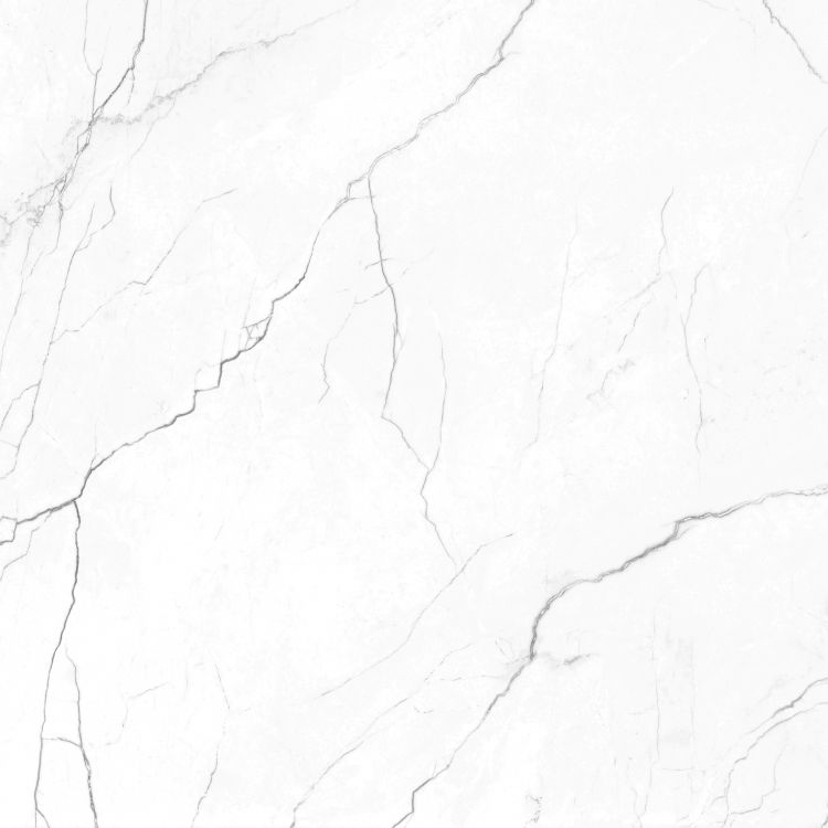 EC Elegance White Polished 48 x 48